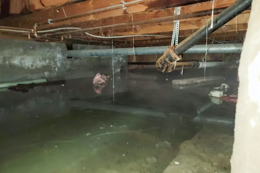 Standing water under the floor framing in a Hayward crawl space