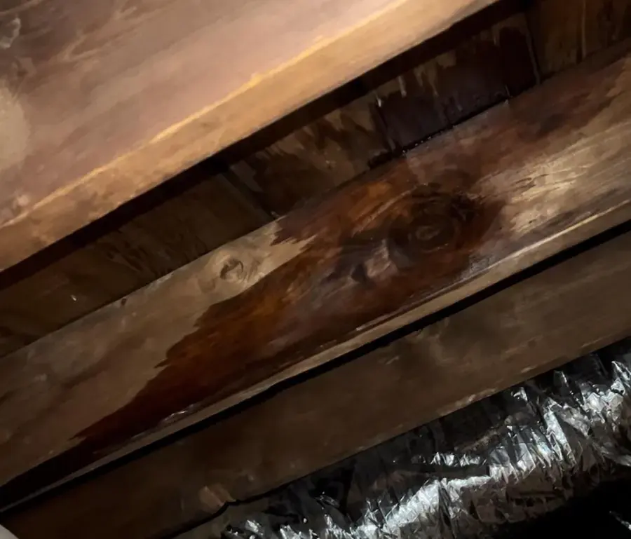 Water-stained rafters in an attic below a roof leak in a Hayward home