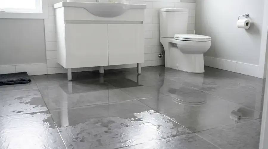 Water across a bathroom floor after a toilet overflow in a Hayward home